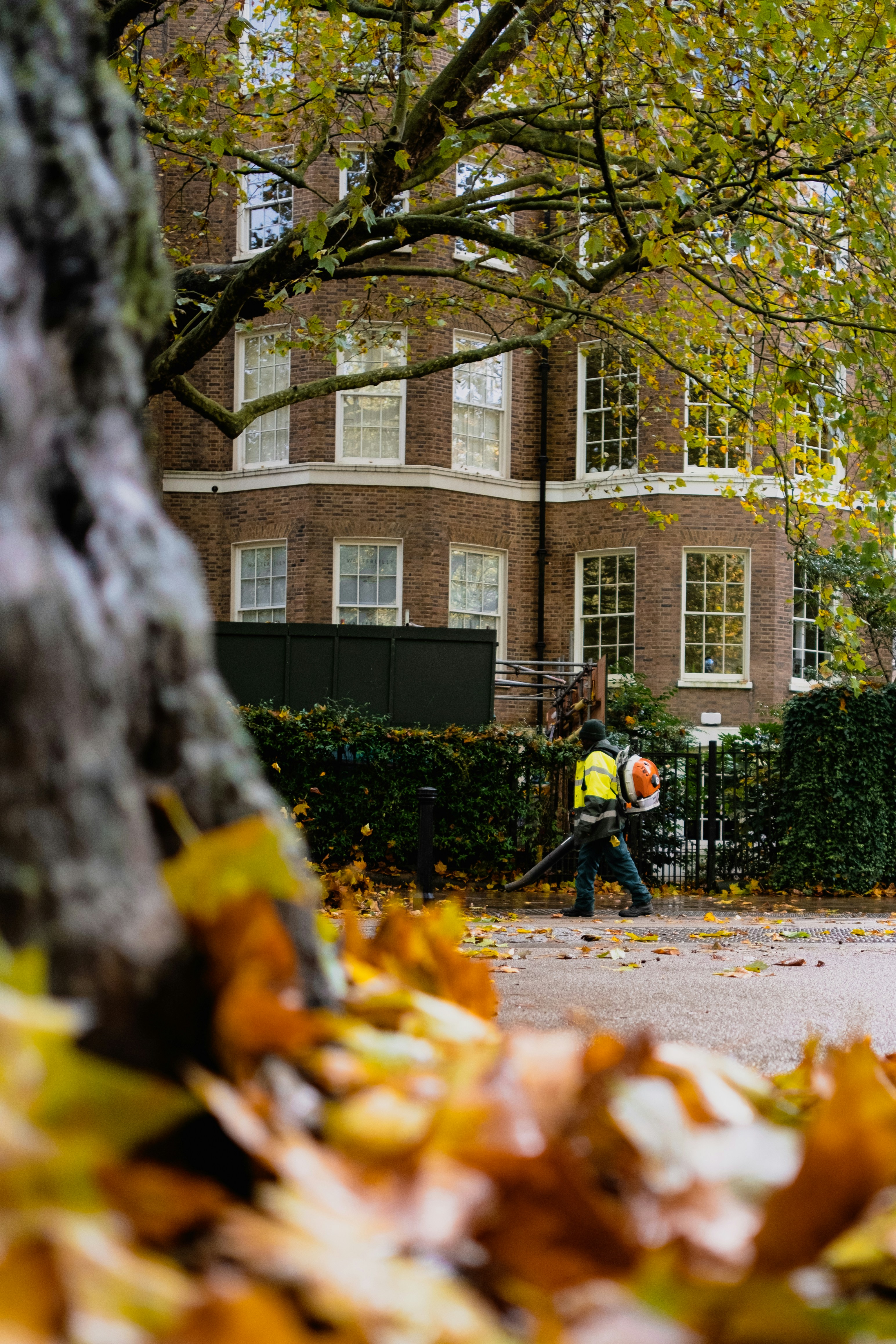 Fall Cleanup