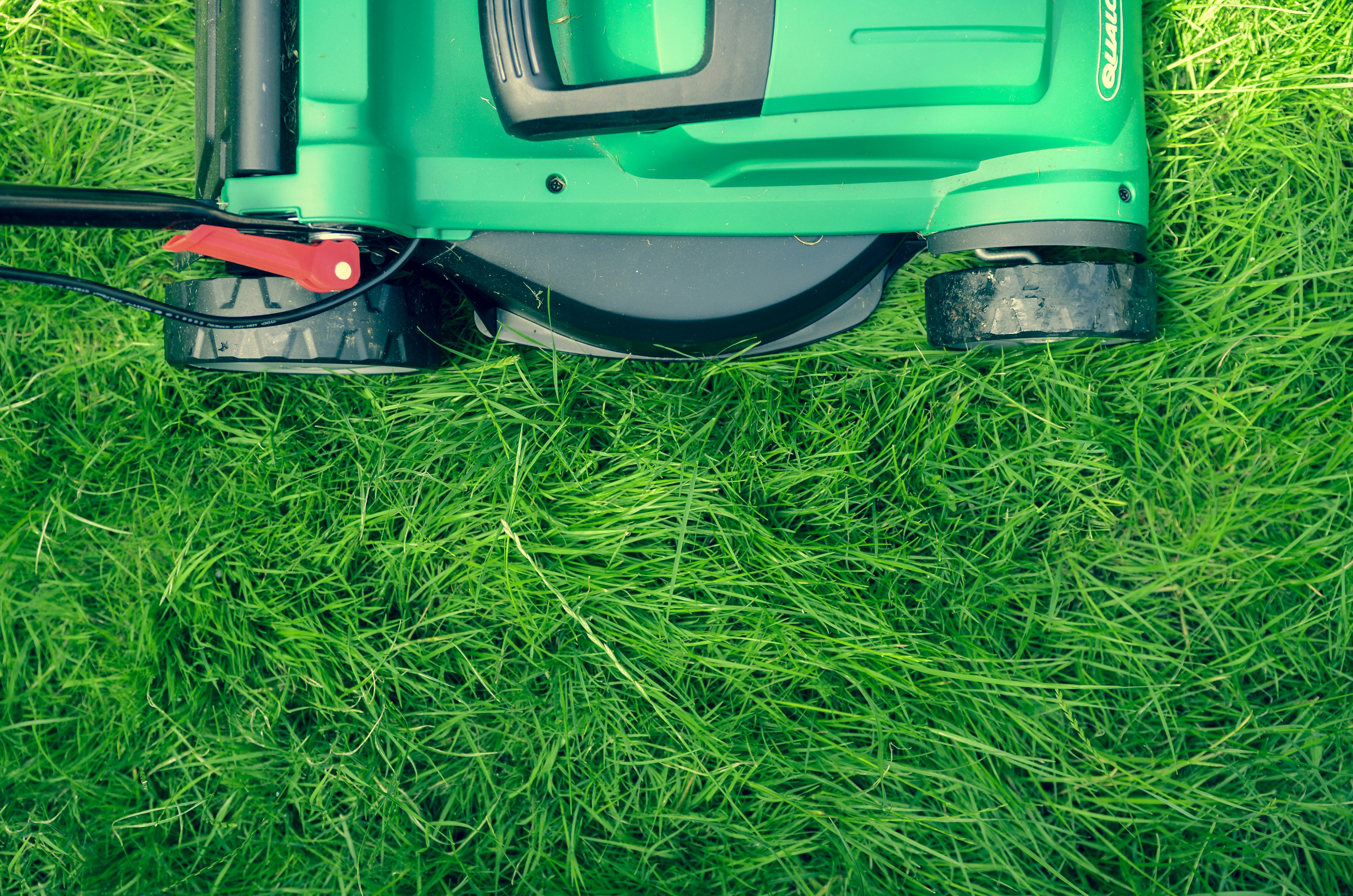 Weekly Mowing