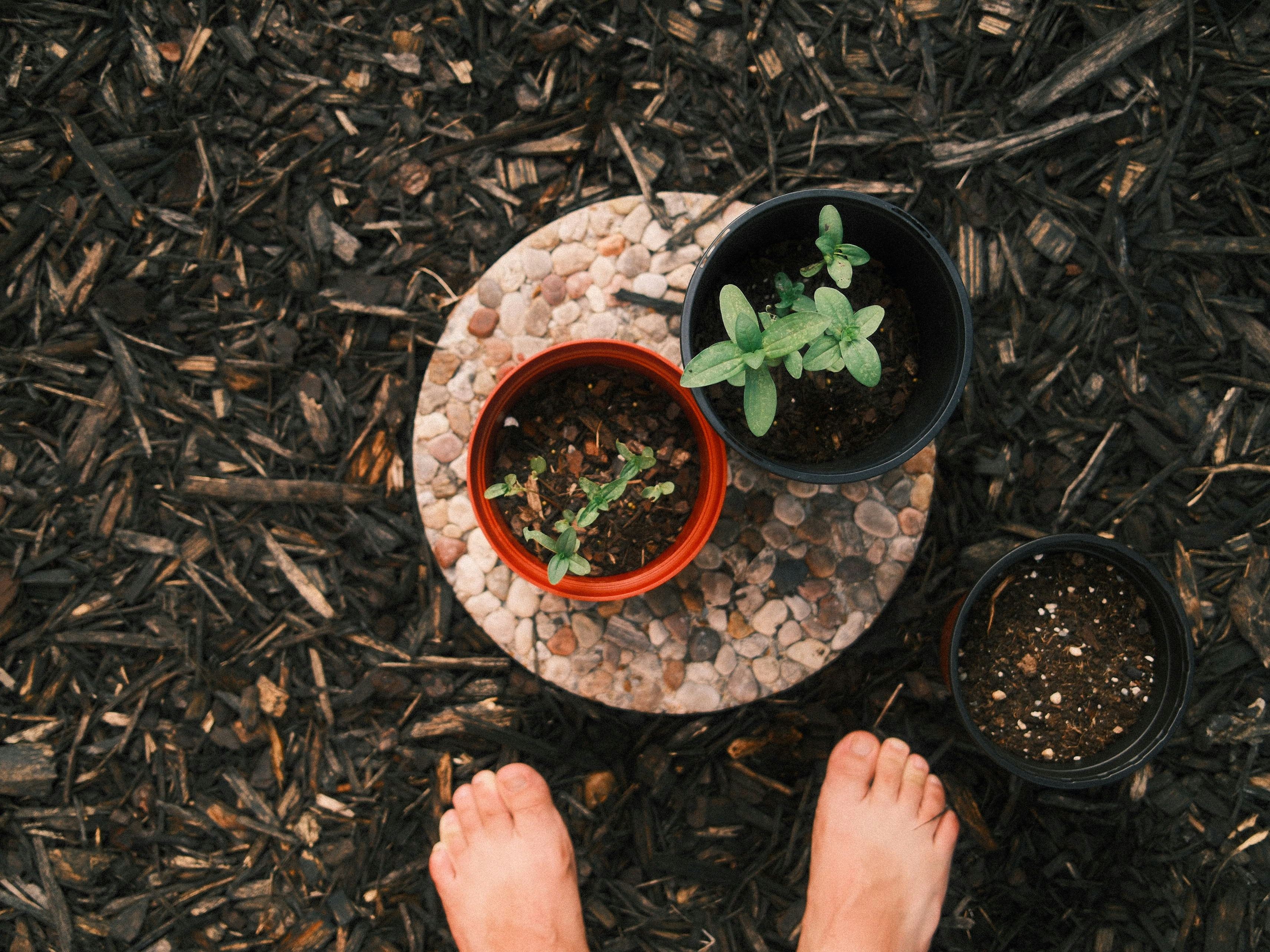 Mulching